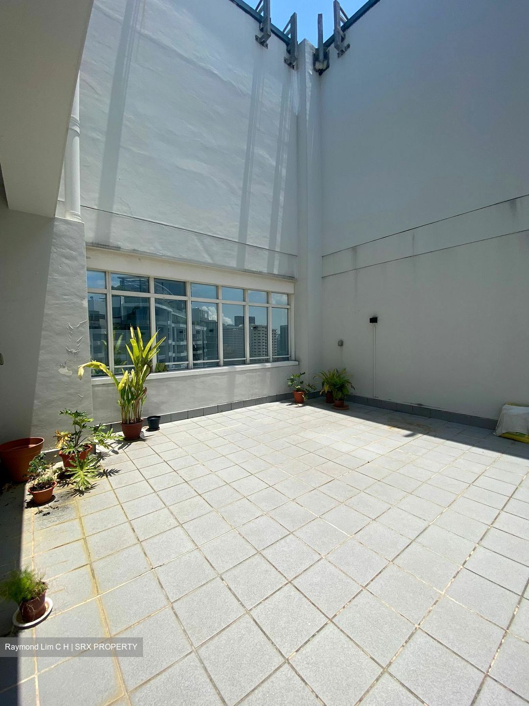 Orchard Scotts (D9), Condominium #381355211